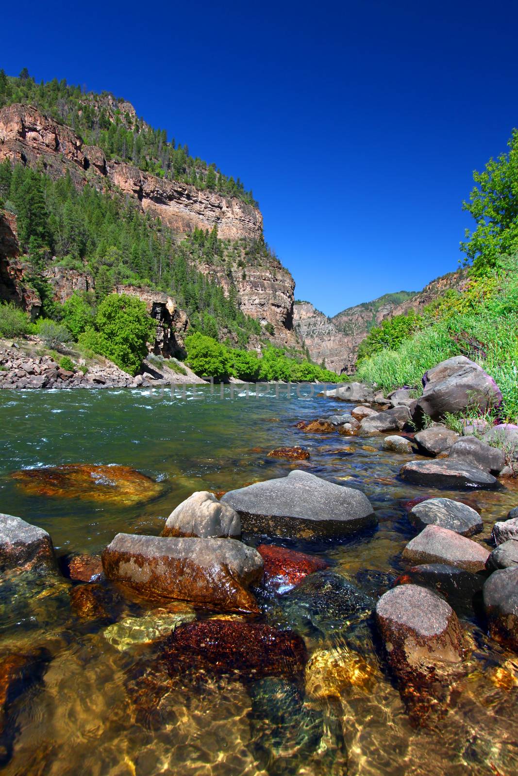 Colorado River flows through the White River National Forest in the western United States.