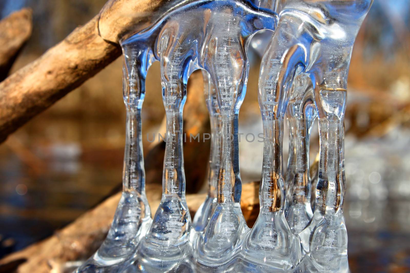 Natural ice sculptures along the Kishwaukee River in northern Illinois.