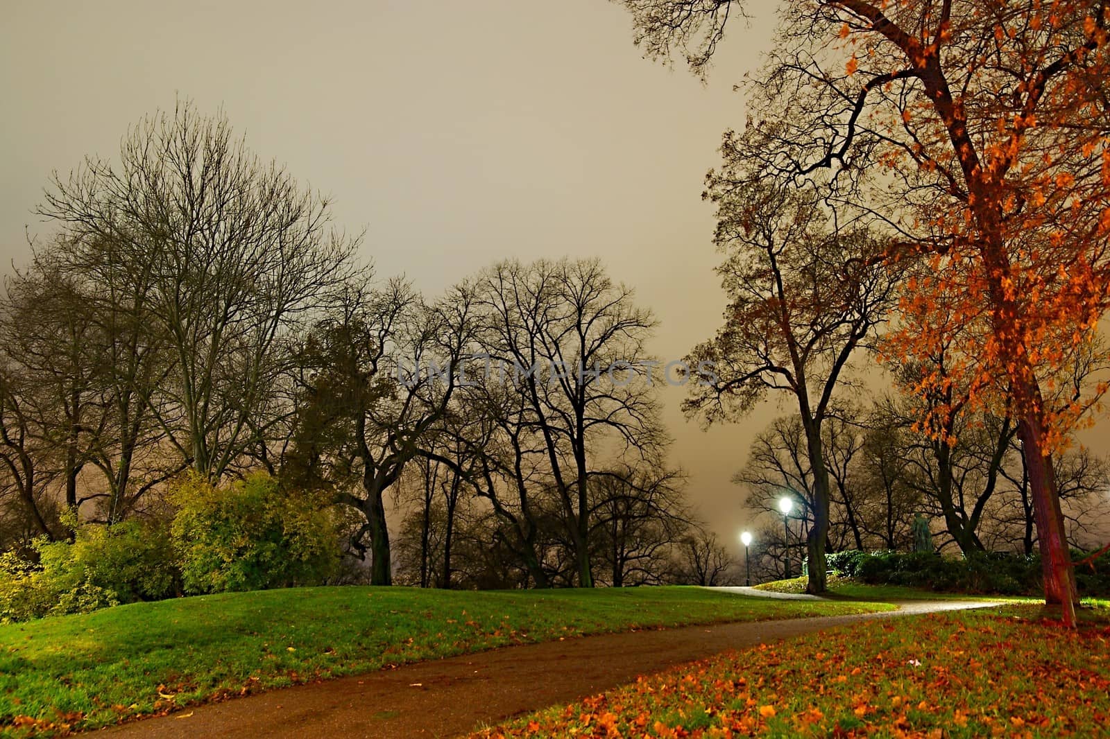 Autumn park in the evening