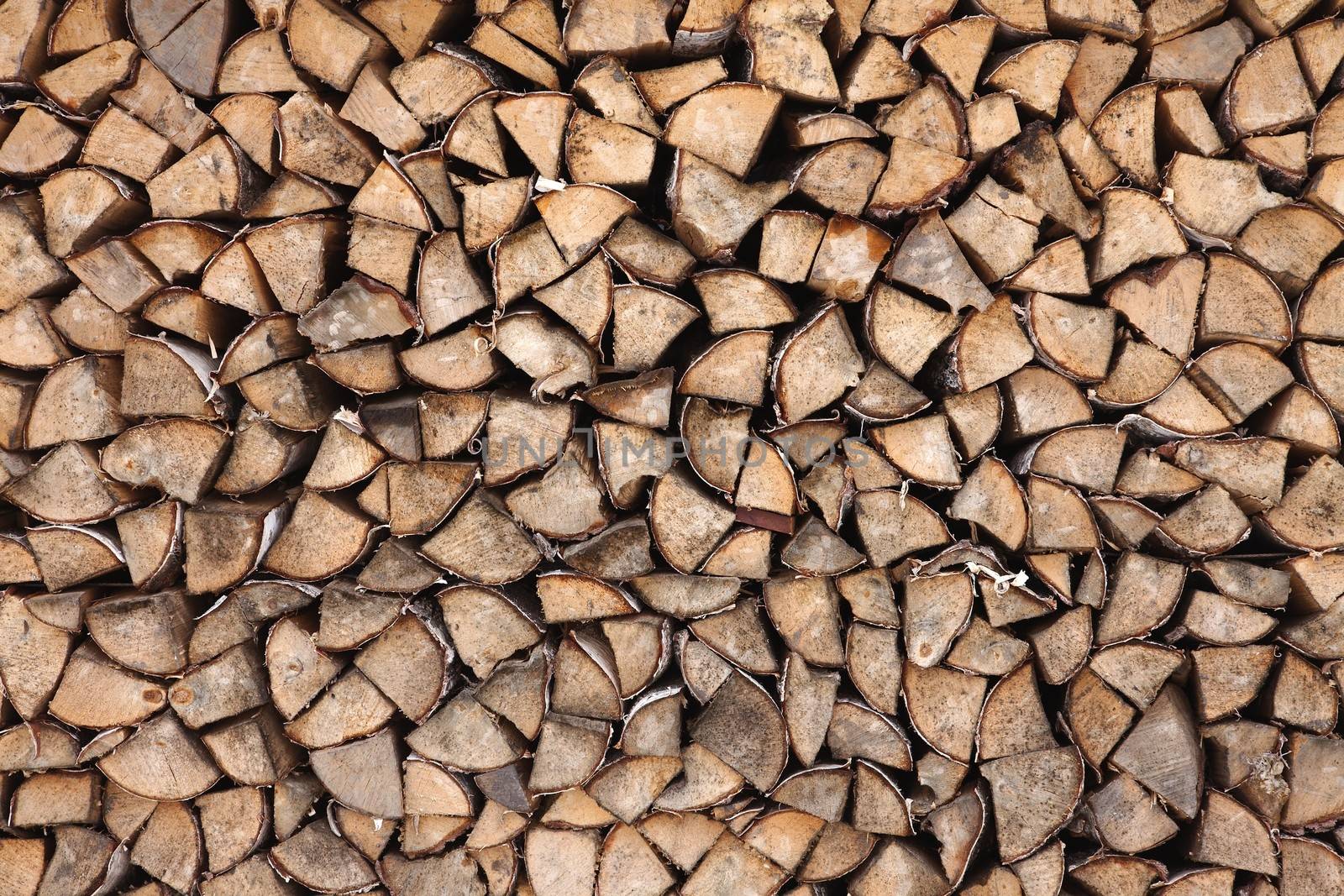 Pile of logs cut to pieces