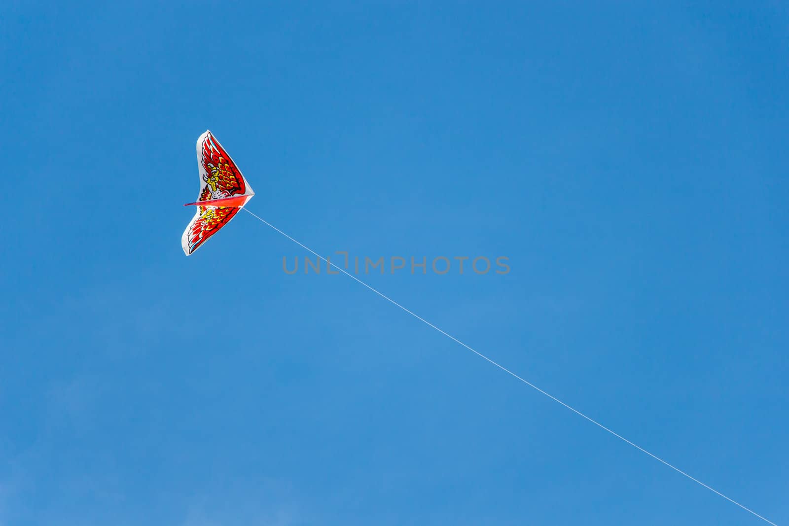 Kite on blue sky by Aduldej