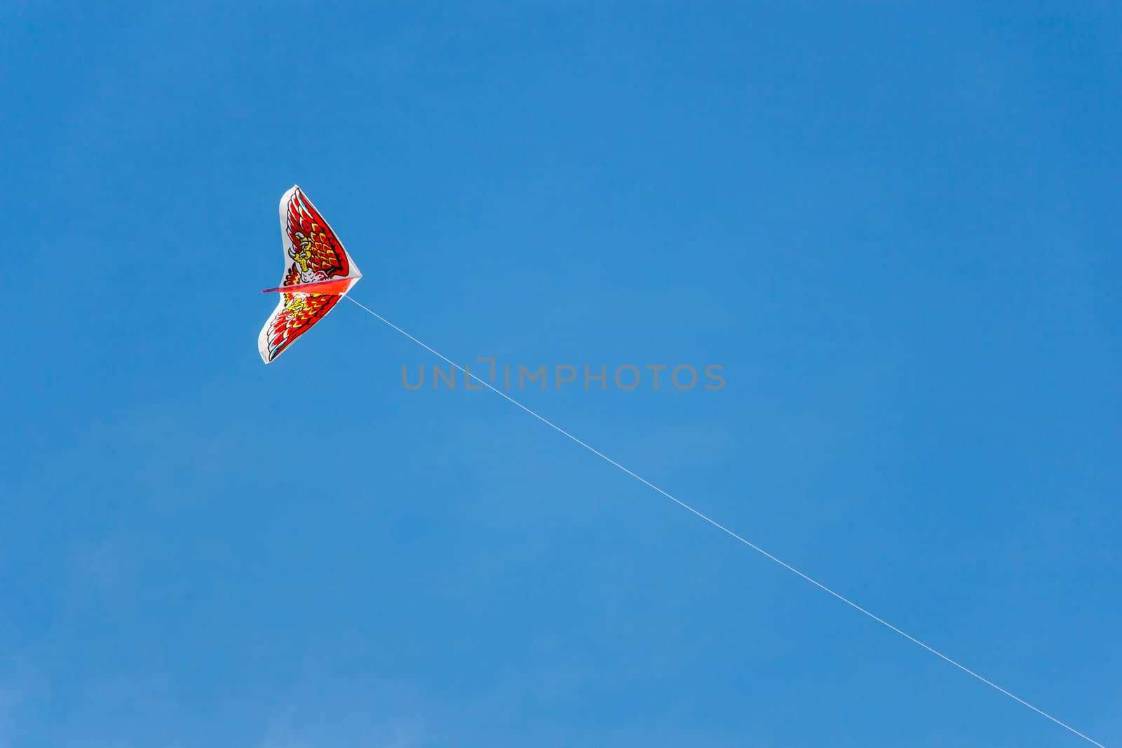 Kite flying in the sky