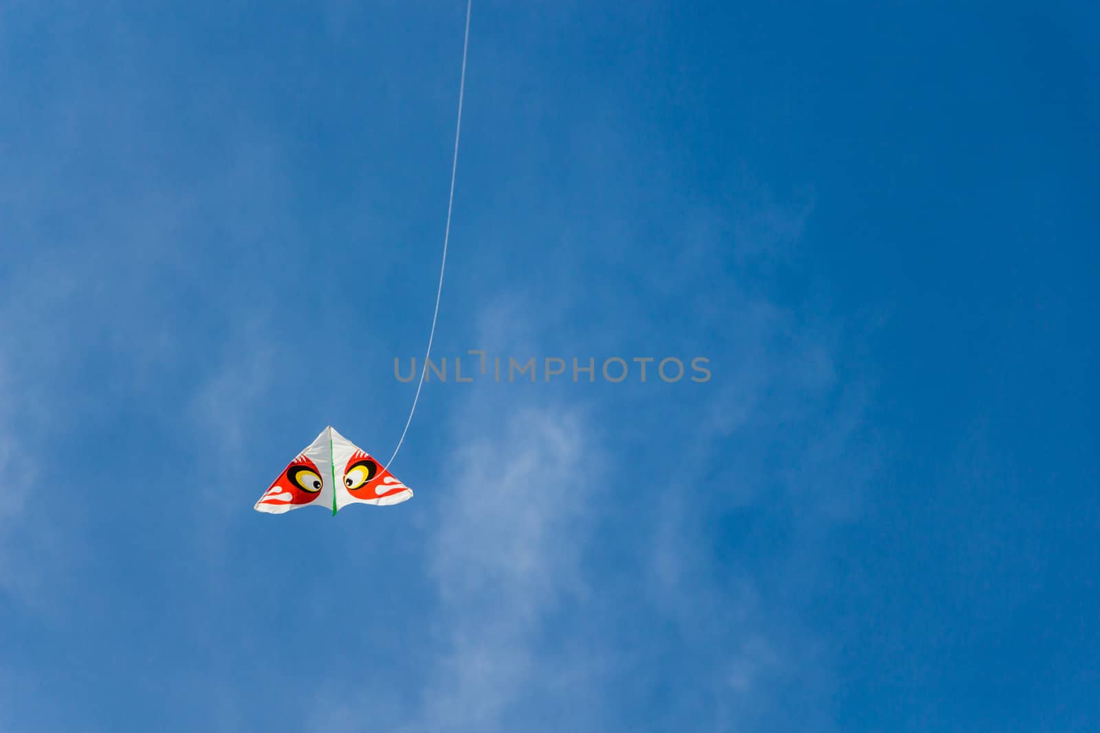 Kite flying in the sky