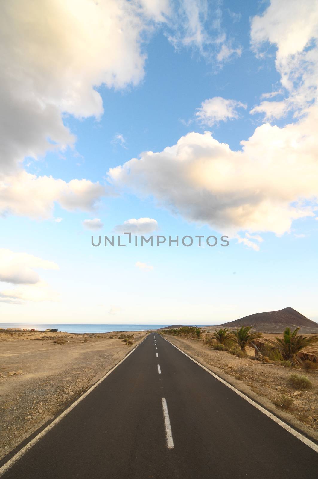 Lonely Road in the Desert in Tenerife Canary Islands