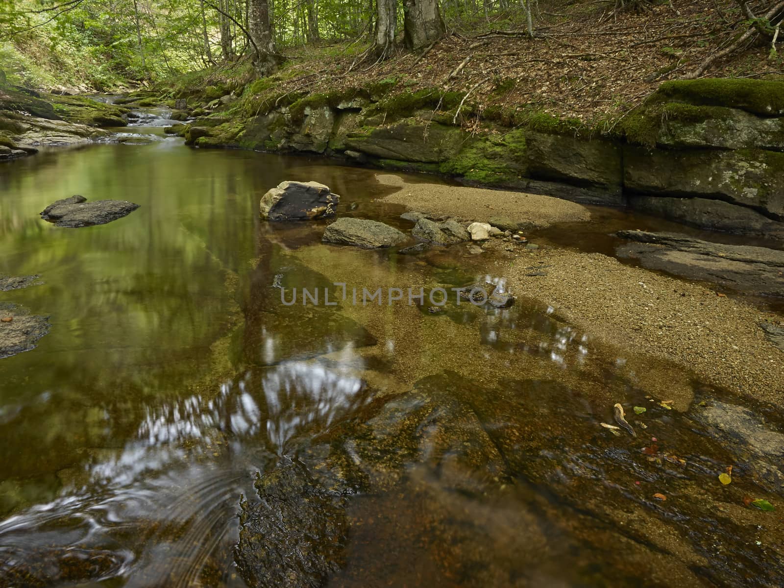 Stream in the forest of mountain Karazica, Macedonia