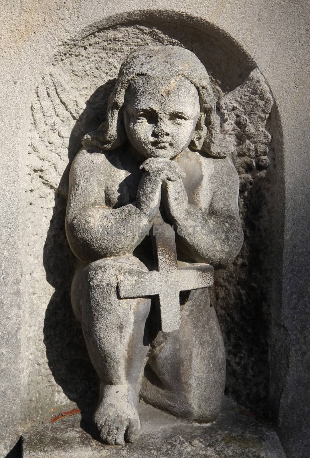 Praying angel statue. Lviv Cemetery