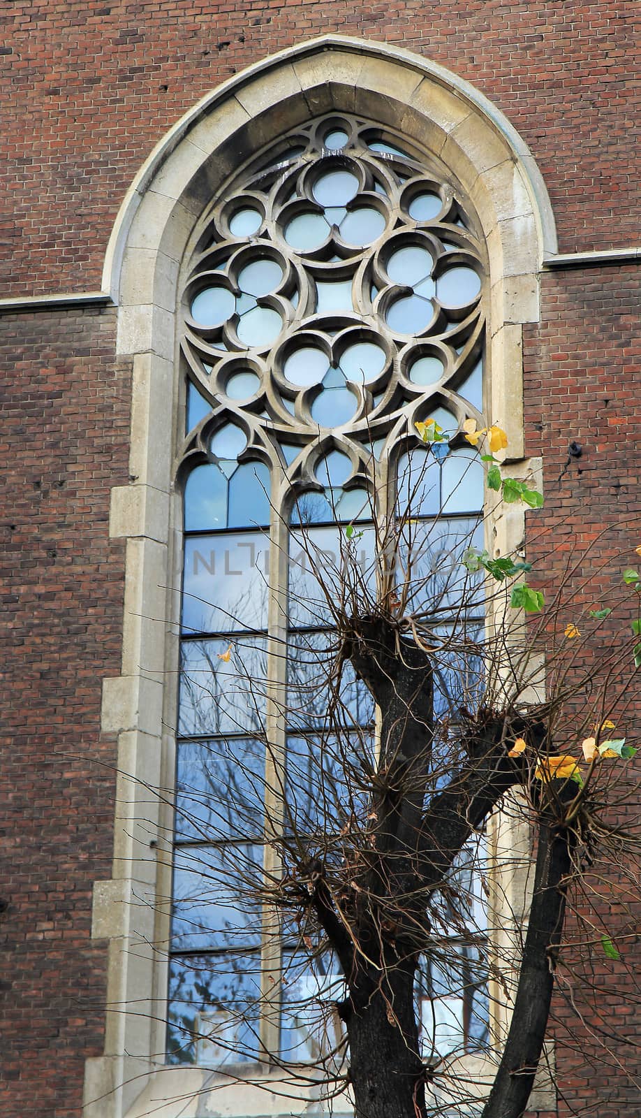 Ancient church window. Lviv