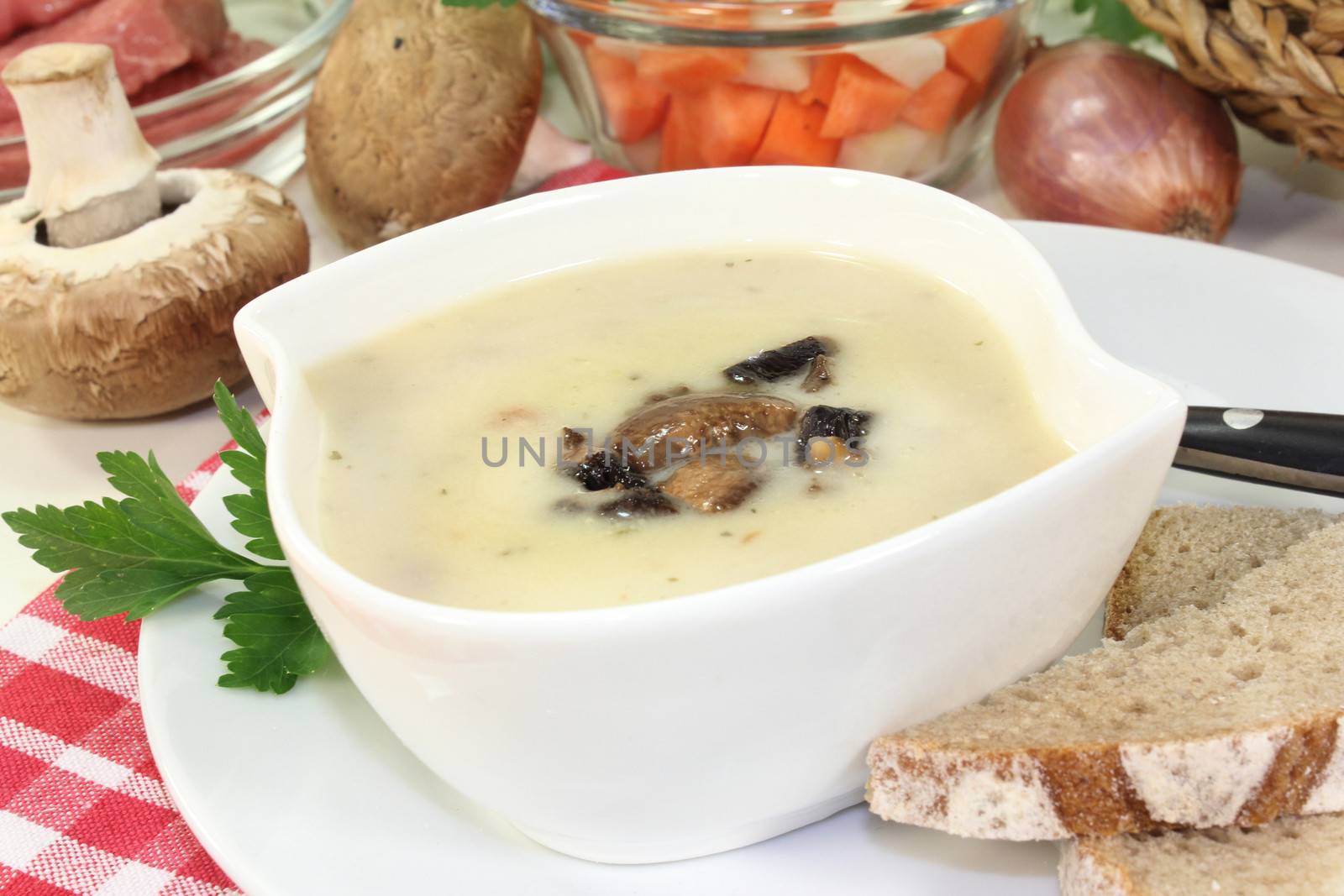 Veal cream soup by silencefoto