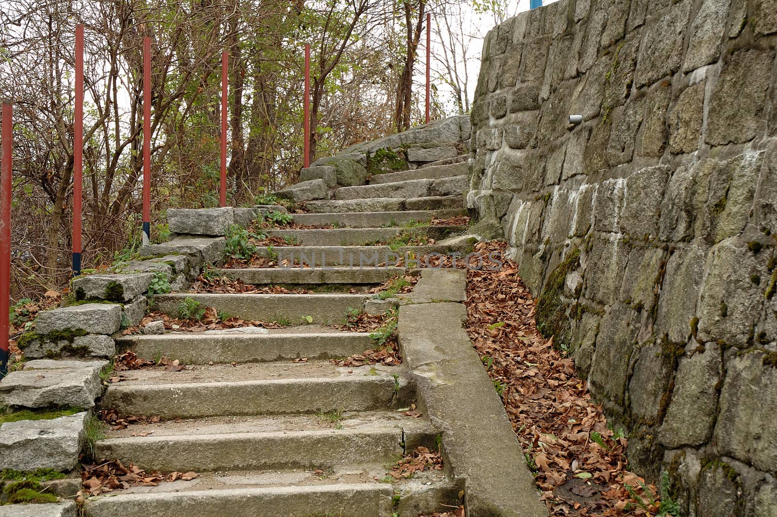Stone stairs by janhetman