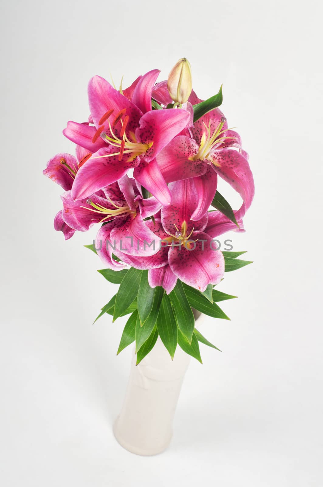 Studio shoot of purple lily bouquet in vase