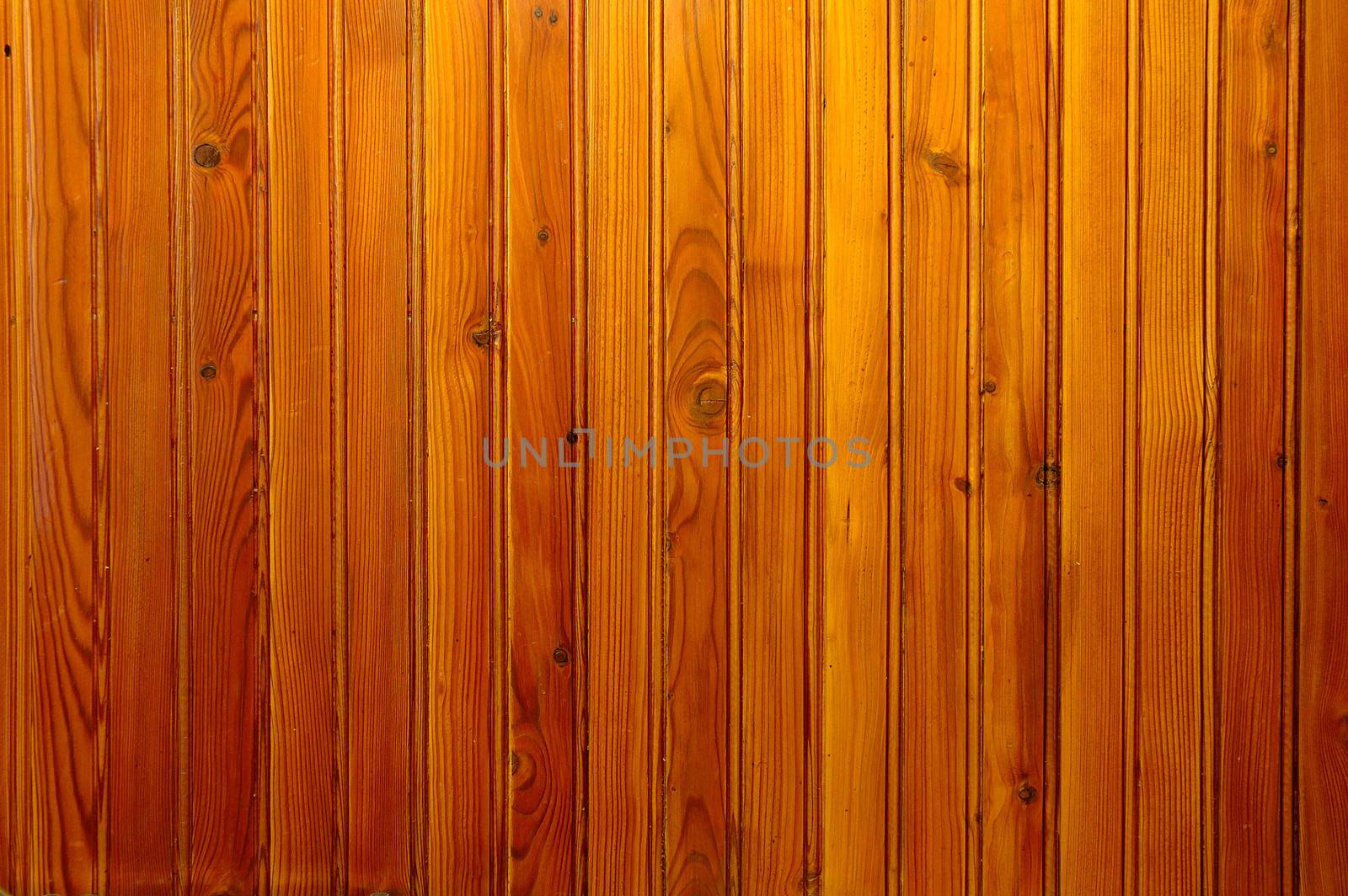 Wall covered with wainscot
