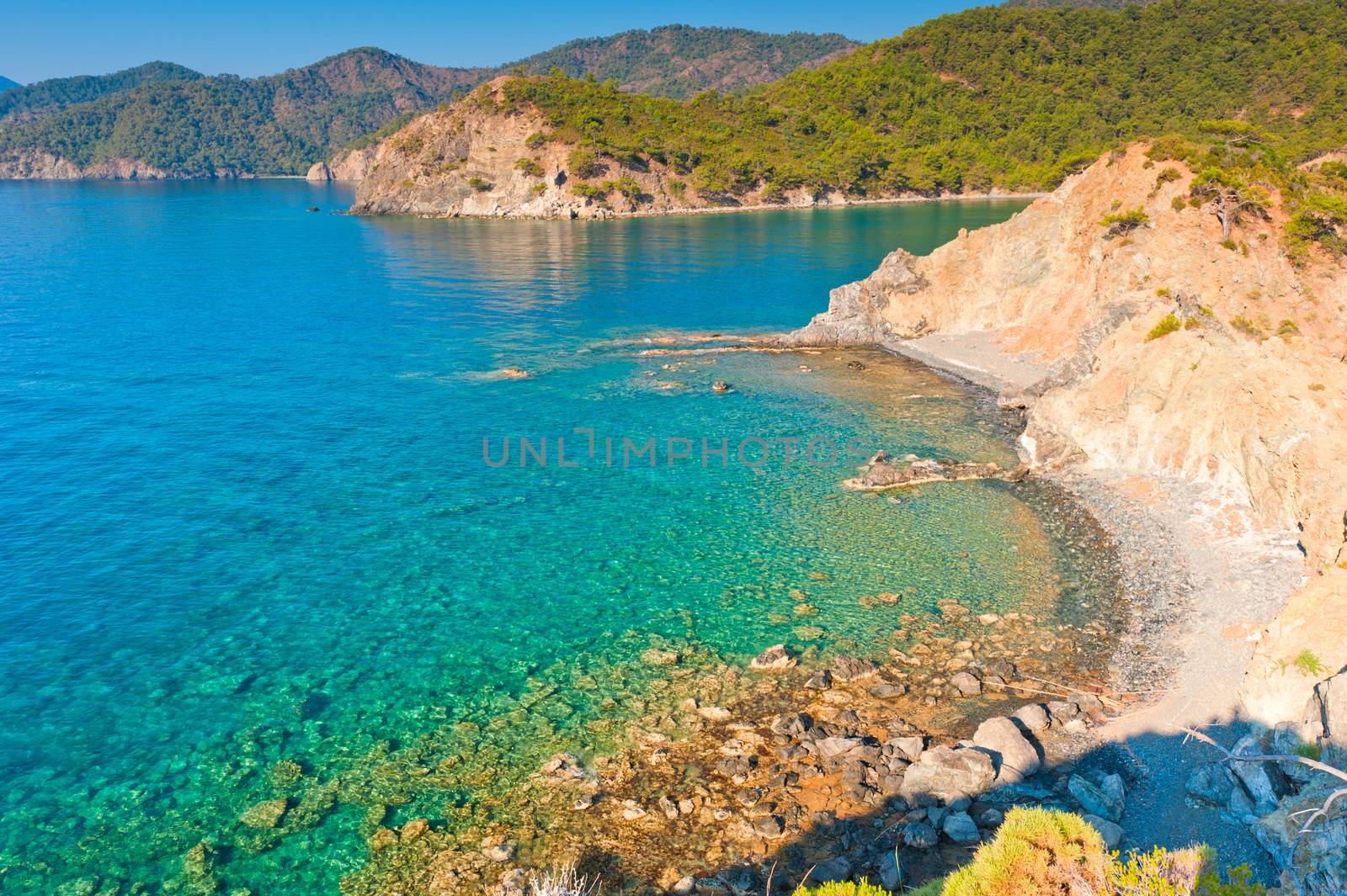 rocky shore by the sea, covered with green trees