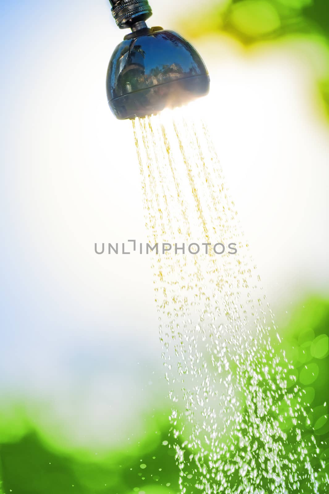 flowing water from a watering can shower in the sun by kosmsos111