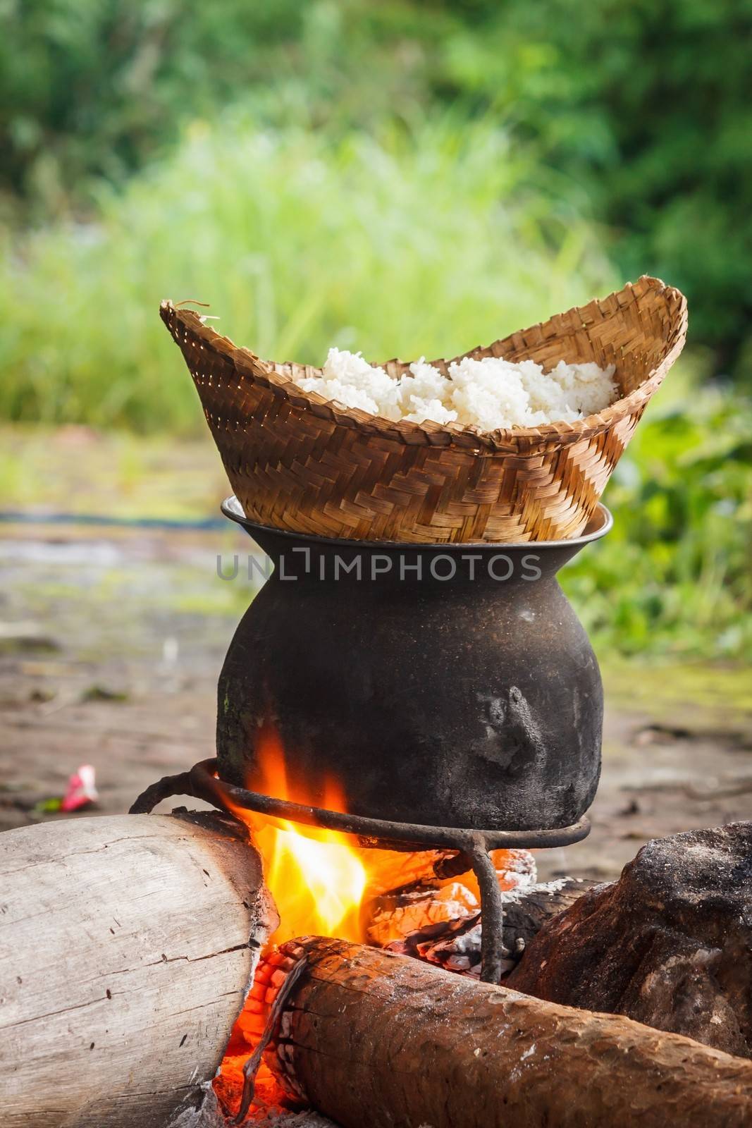 Process steamed glutinous rice in camping.