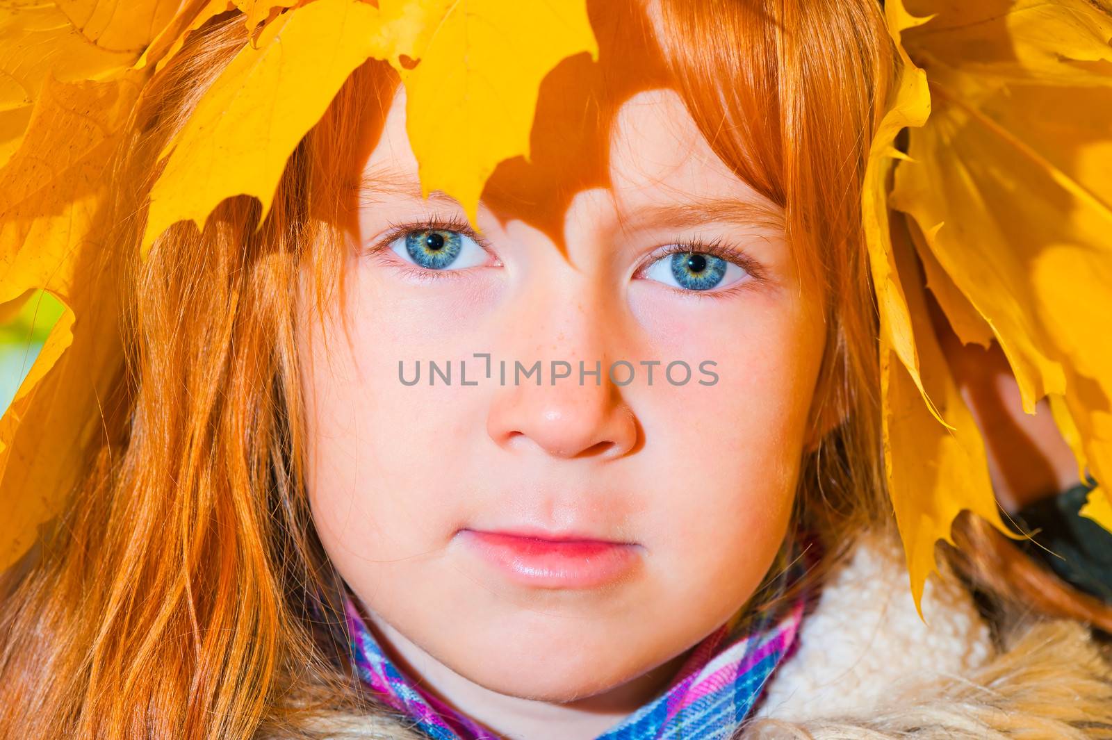 Portrait of a pretty girl in a wreath of autumn maple