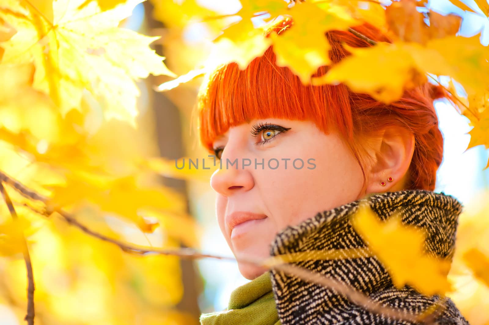 portrait of a girl on a background of red maple leaves