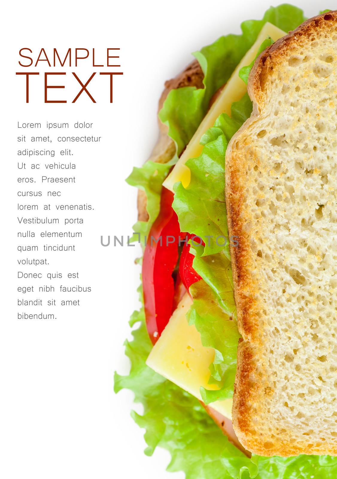 Single sandwich with fresh cheese, salad and meat isolated over white background
