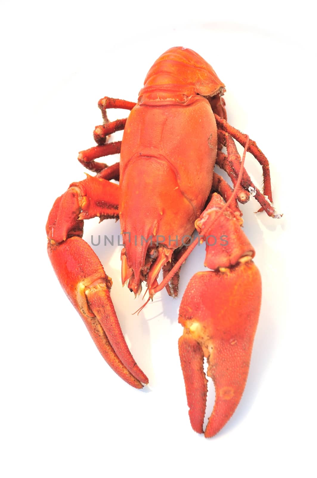 Crawfish cooked 