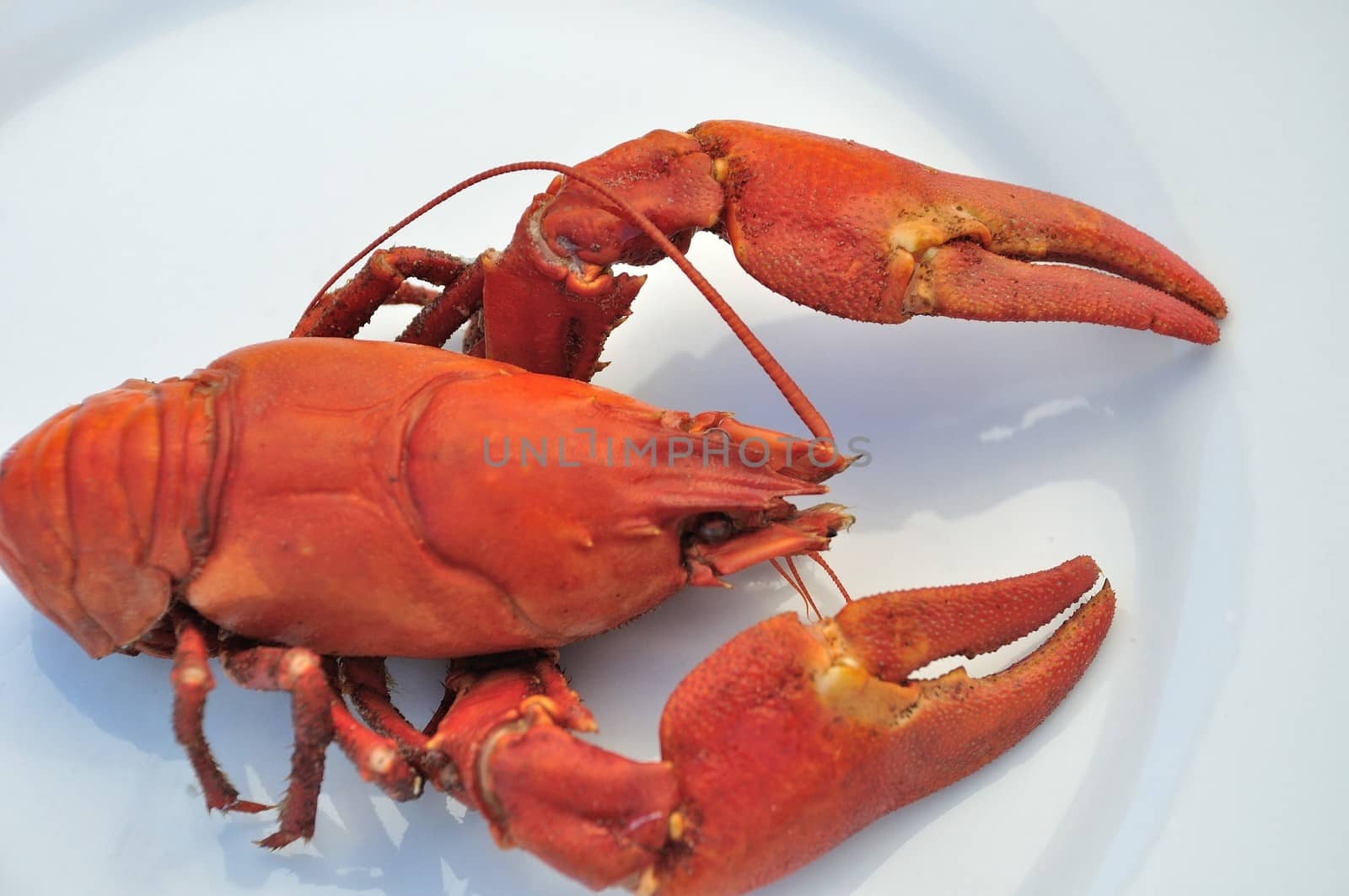 Crawfish cooked 
