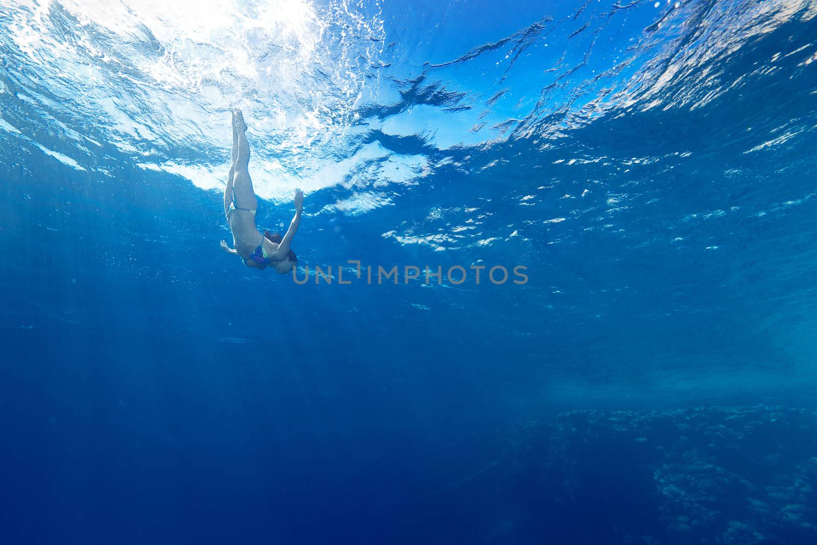 athletic girl diving under the sea