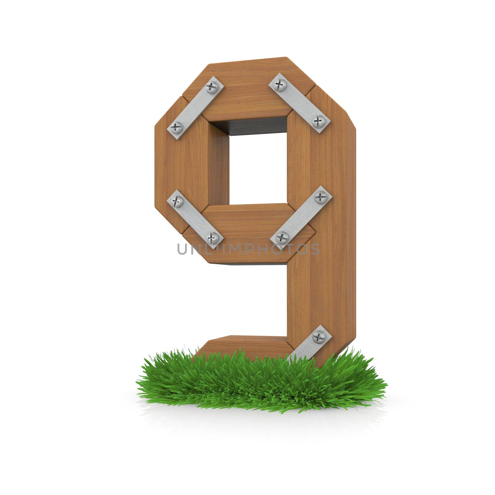 Wooden number nine in the grass by cherezoff