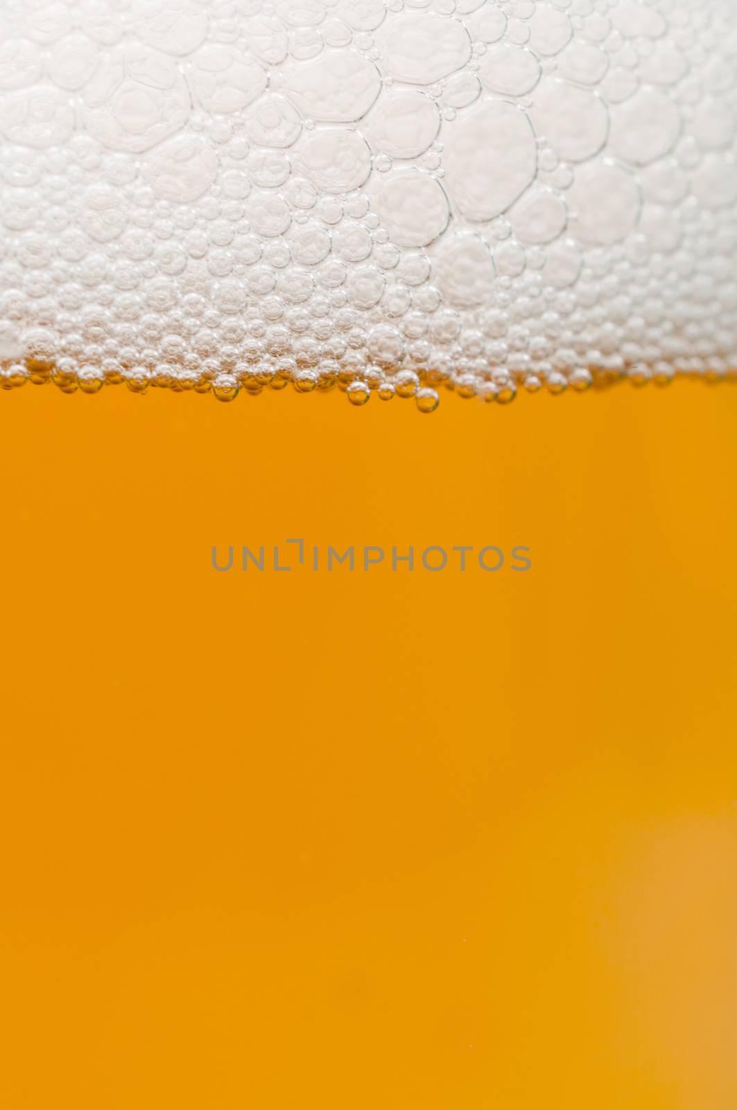 Beer - Closeup of Glass of Beer with Foam - Shallow Depth of Field