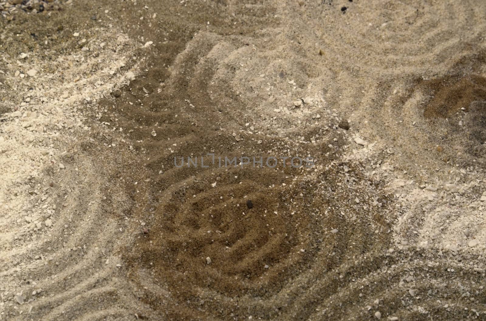 circles on multitoned brown sand surface by gewoldi