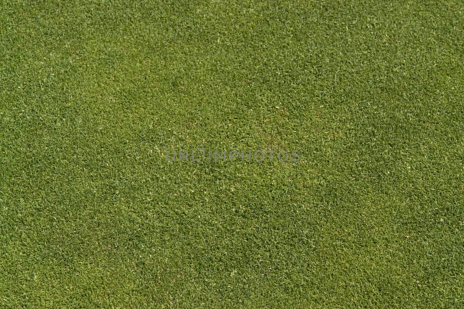 abstract golf green detail
