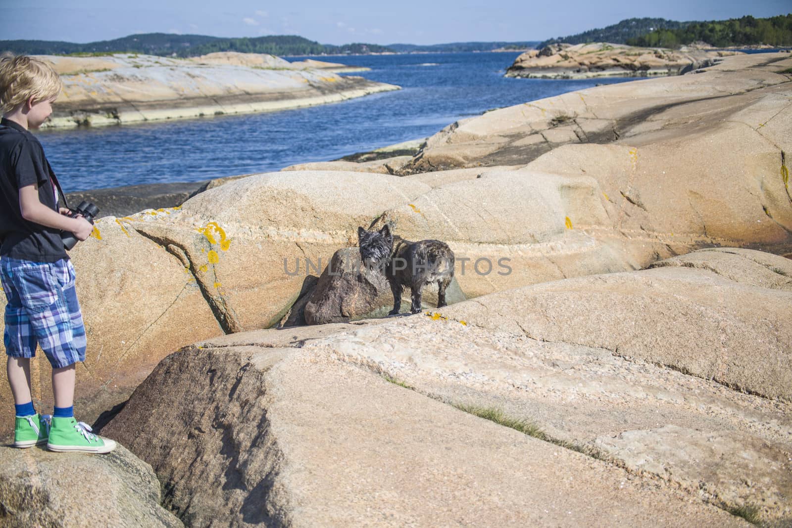 meeting between a young boy and an old dog by steirus