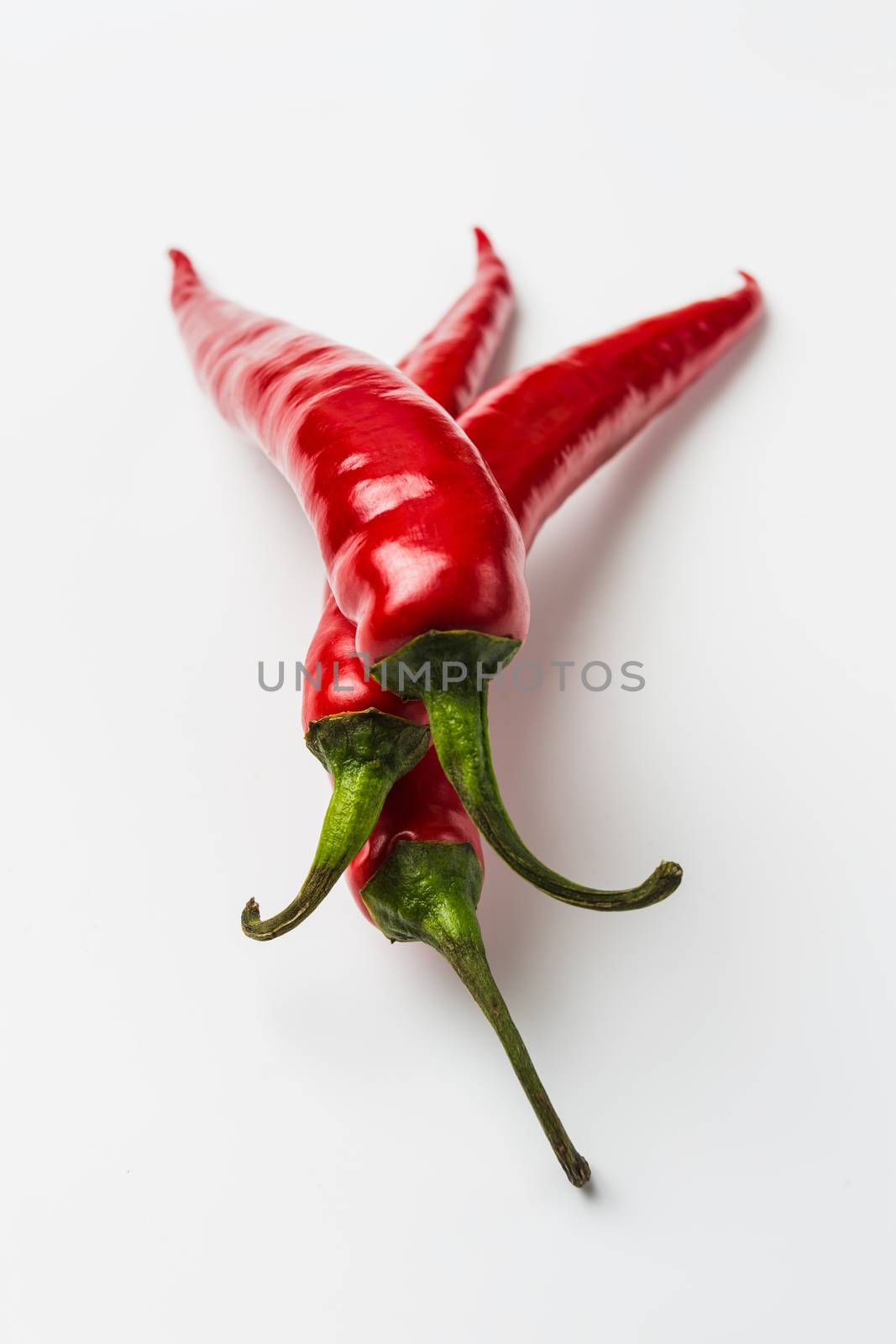 Red chili peppers by oleg_zhukov