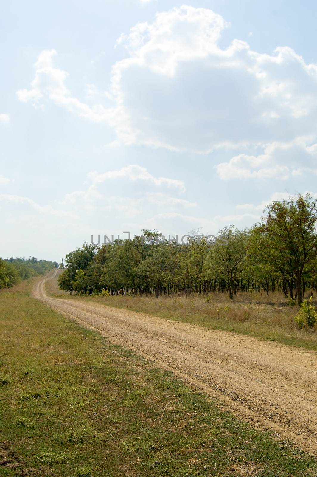 dirty rural road by mycola