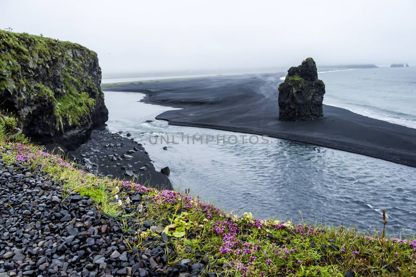 Black volcanic sand on the south coast of Iceland