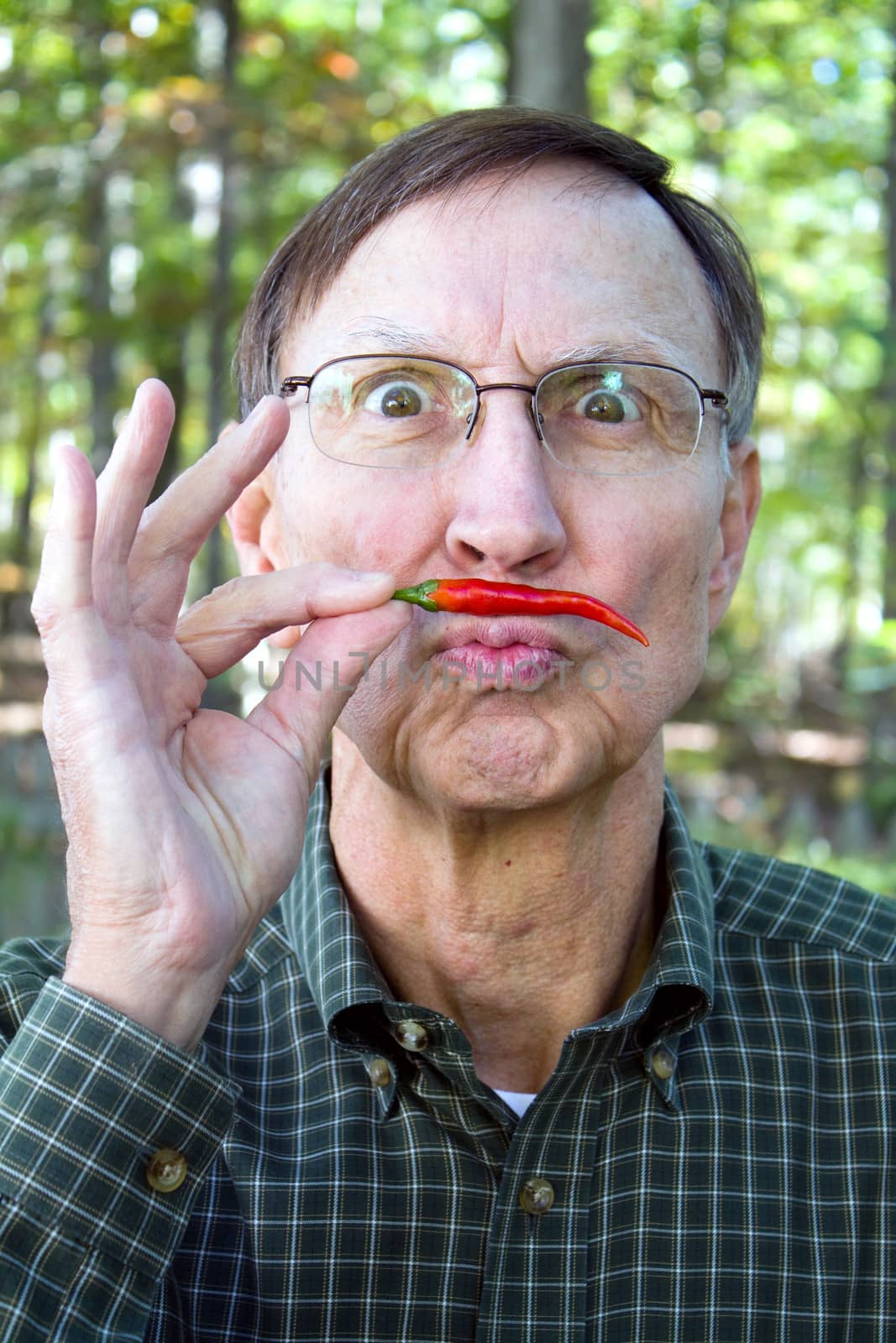 Senior adult holds a red chili pepper under his nose in a mustache position with a silly look on his face.
