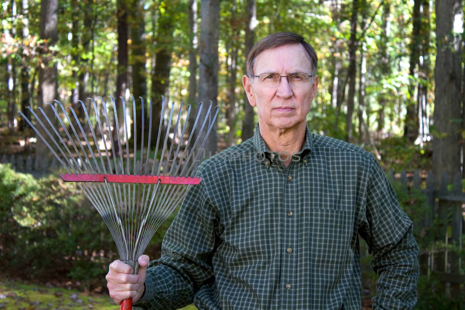 Senior retiree man stands in his backyard holding an old leaf rake with a serious look.