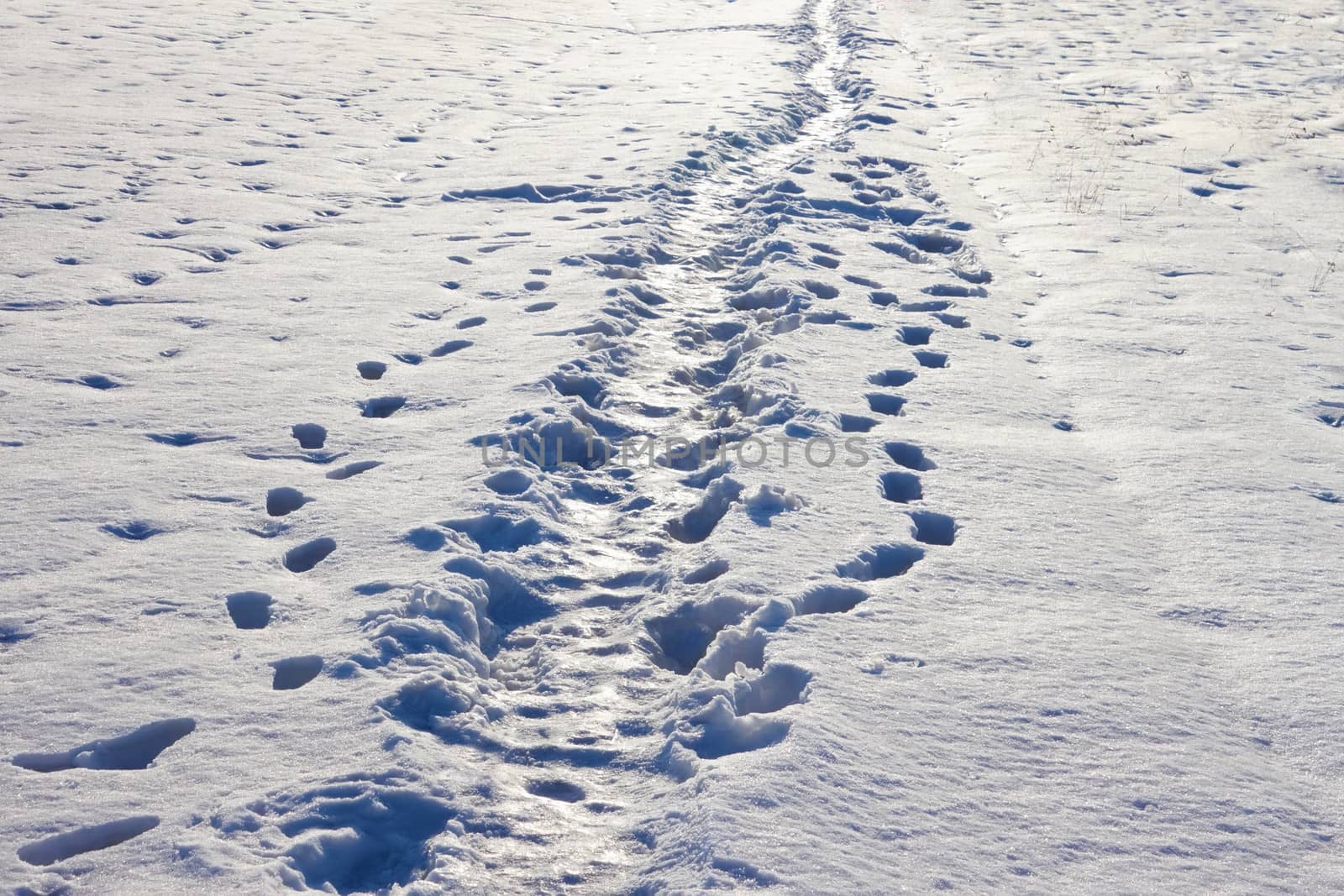 Narrow footpath trodden on the snow on a sunny winter day