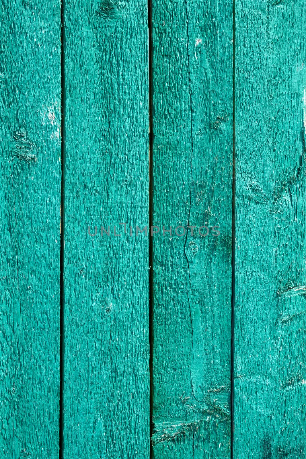 Green painted wooden fence by qiiip
