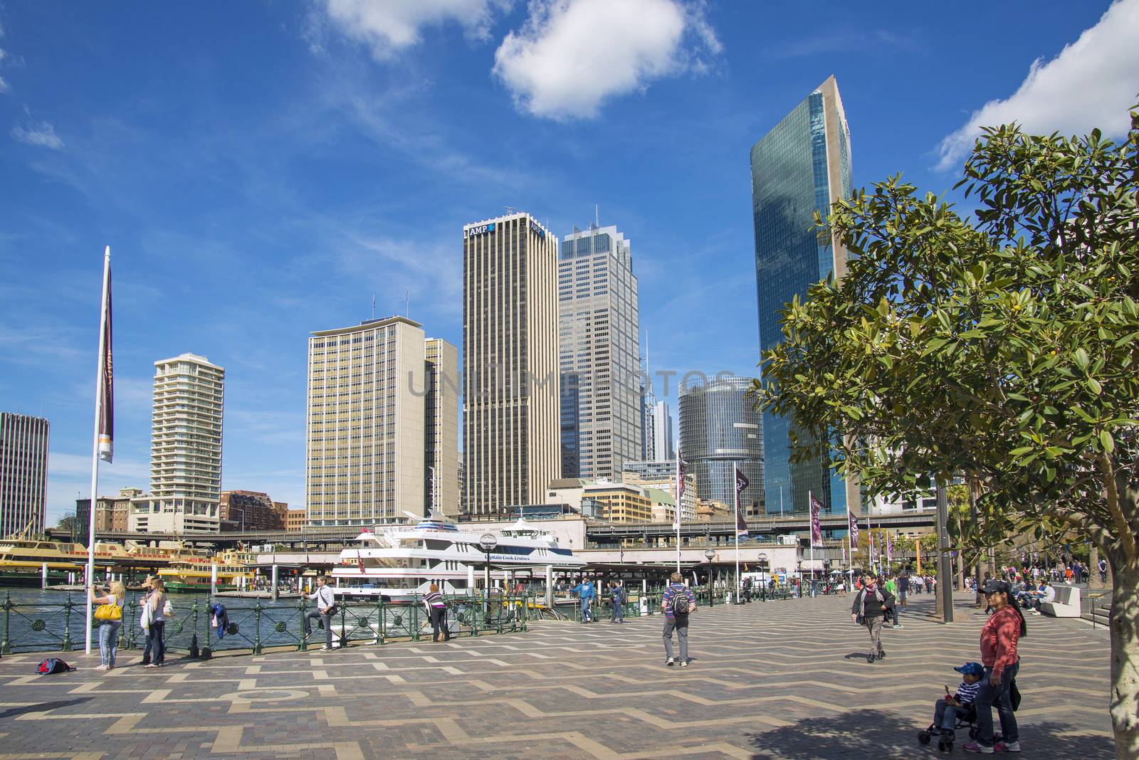 circular quay and skyline in central sydney australia