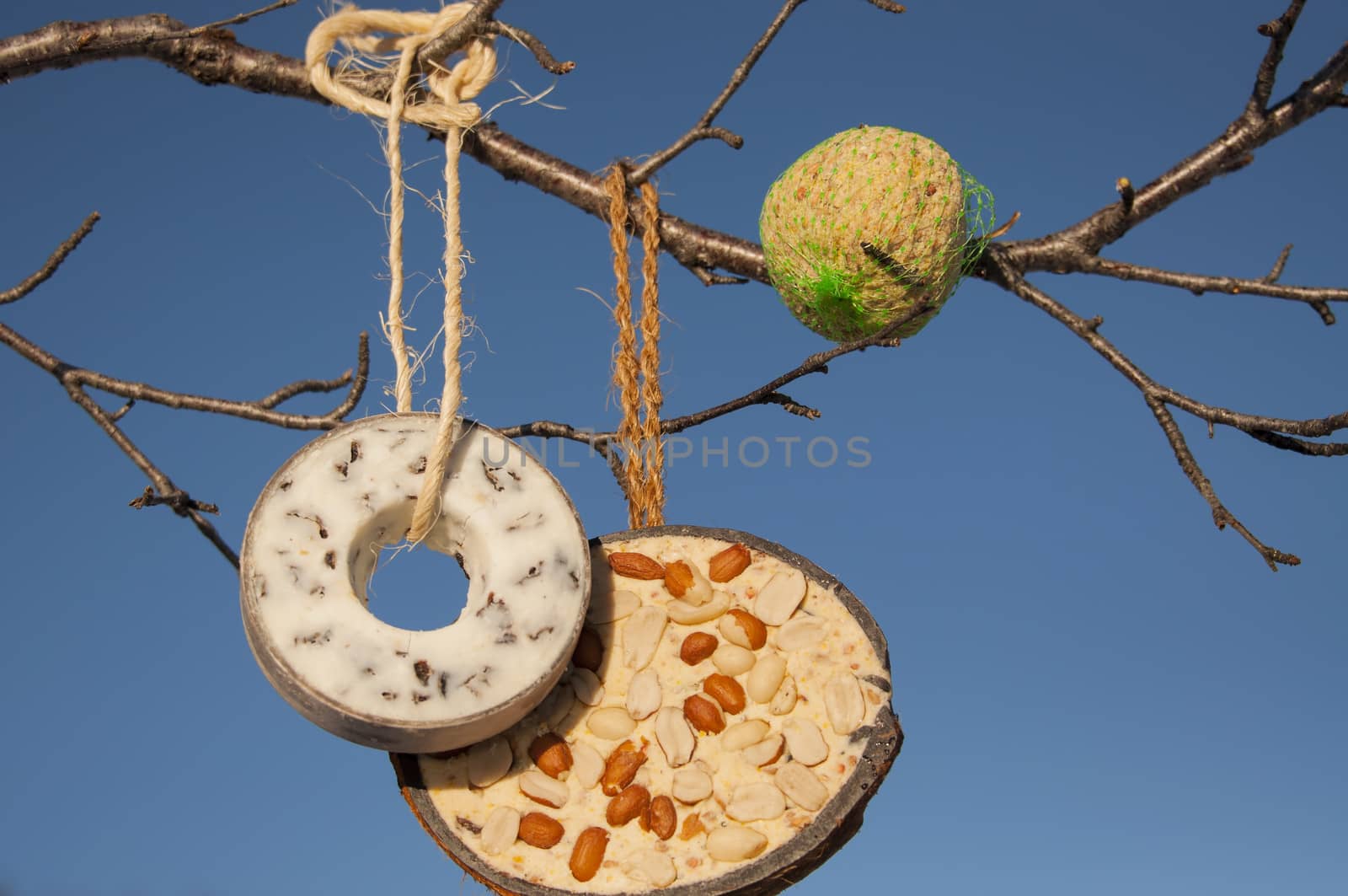 A selction of bird food hanging from a tree in winter
