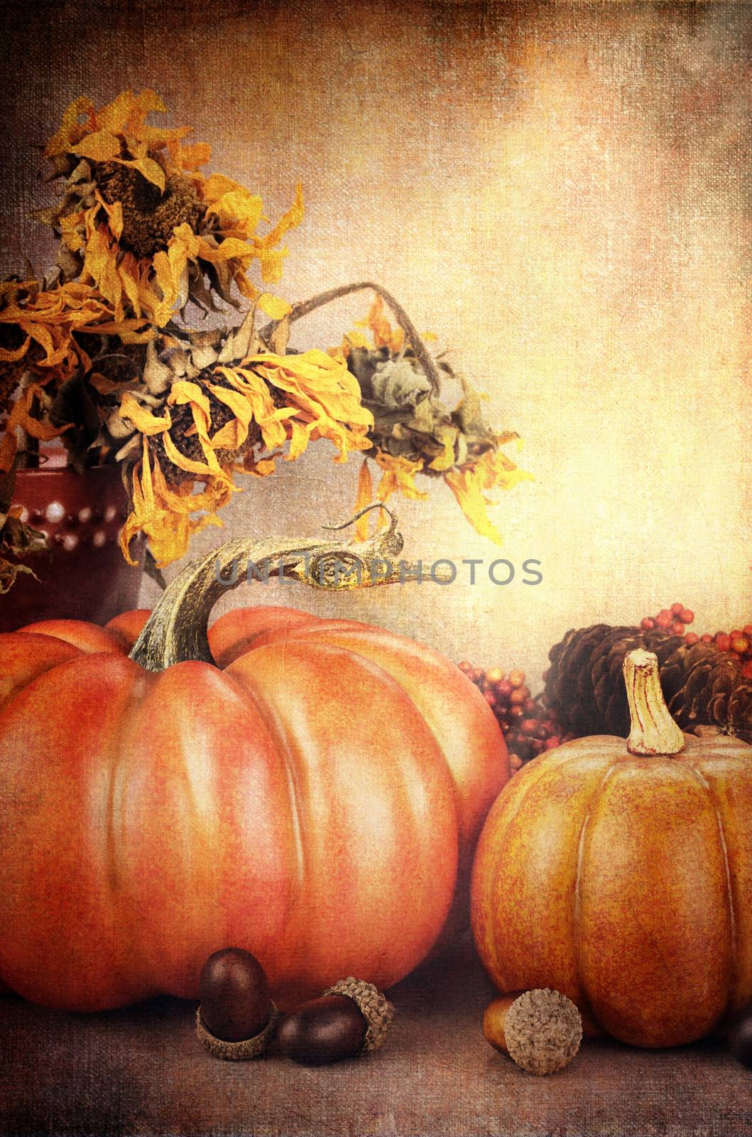 Beautiful autumn still life with copy space available.
