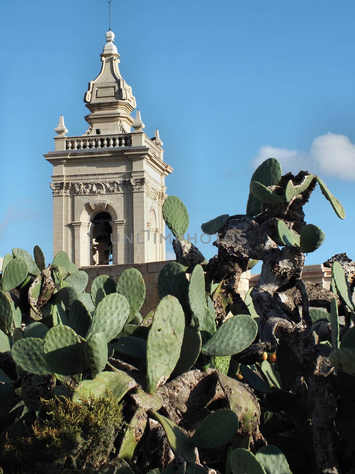 Rabat Cathedtal Tower rising above a prickly pear cactus by glynspencer