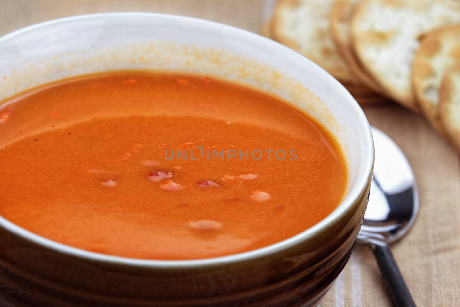 Tomato Bisque with crackers. Extreme shallow depth of field. 