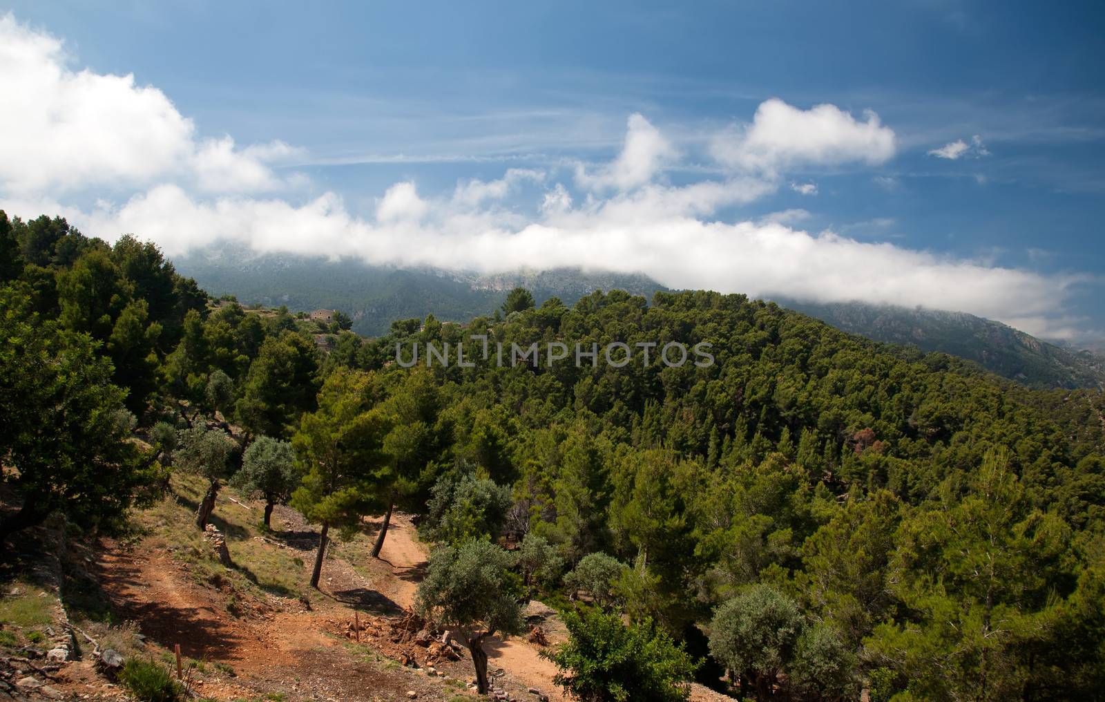 Mallorca island Spain Mediterranean view