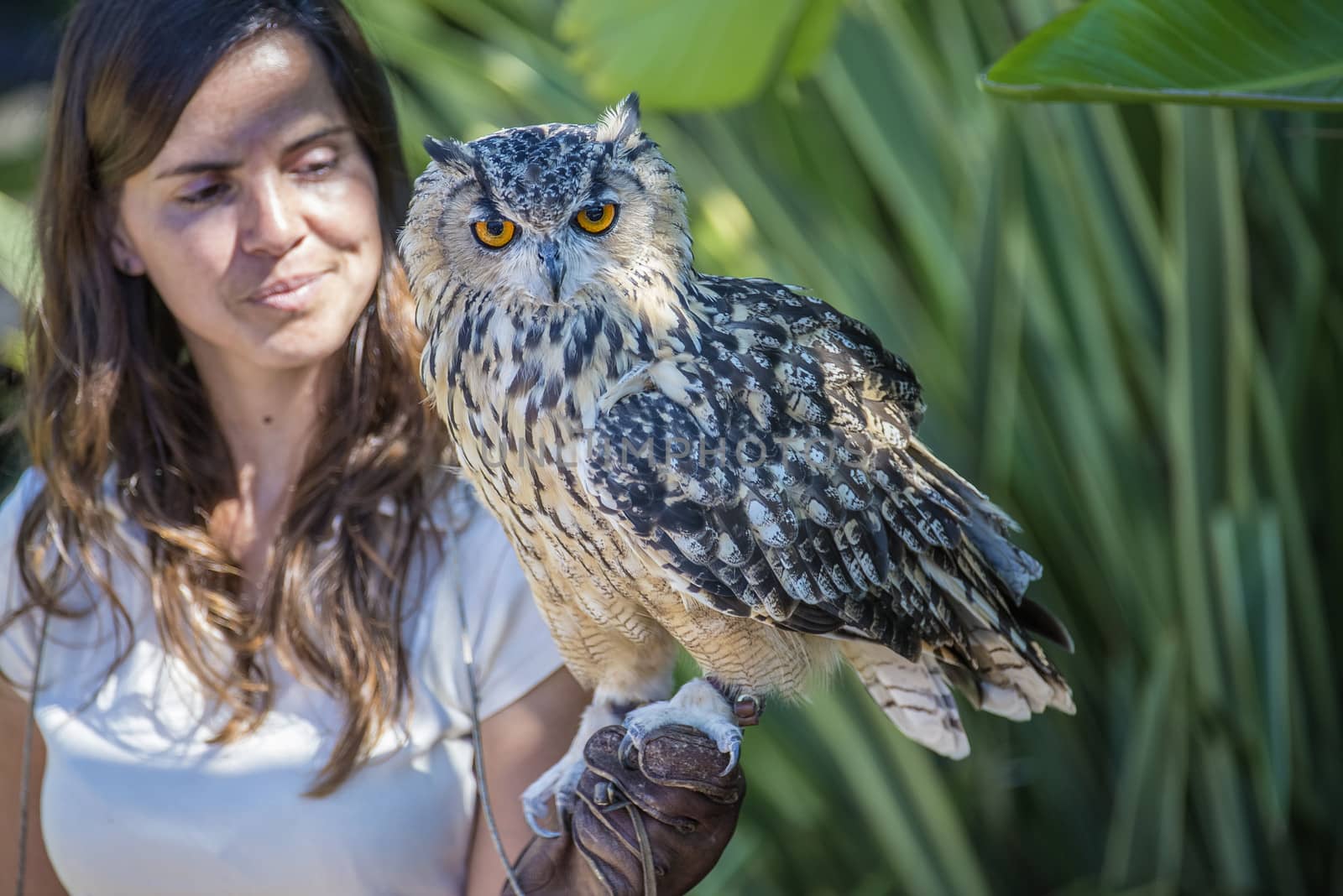 The picture is shot in Zoo Lagos, Portugal