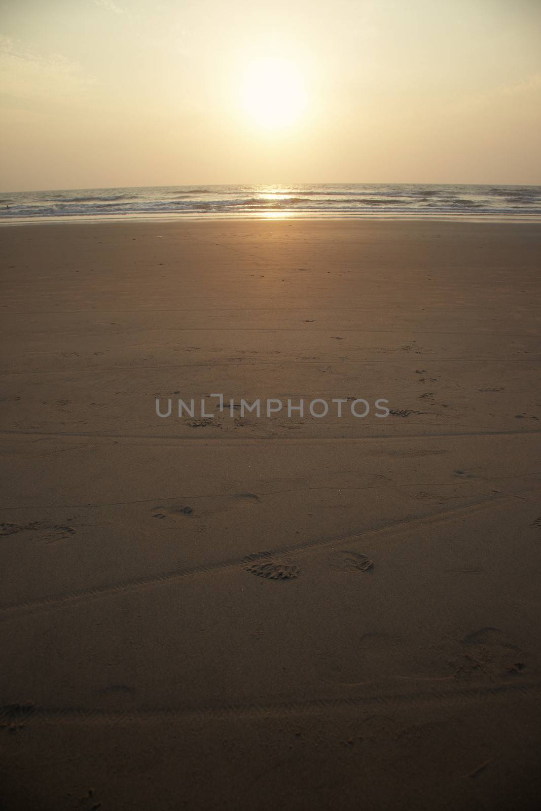 Summer beach during sunset. Vertical photo