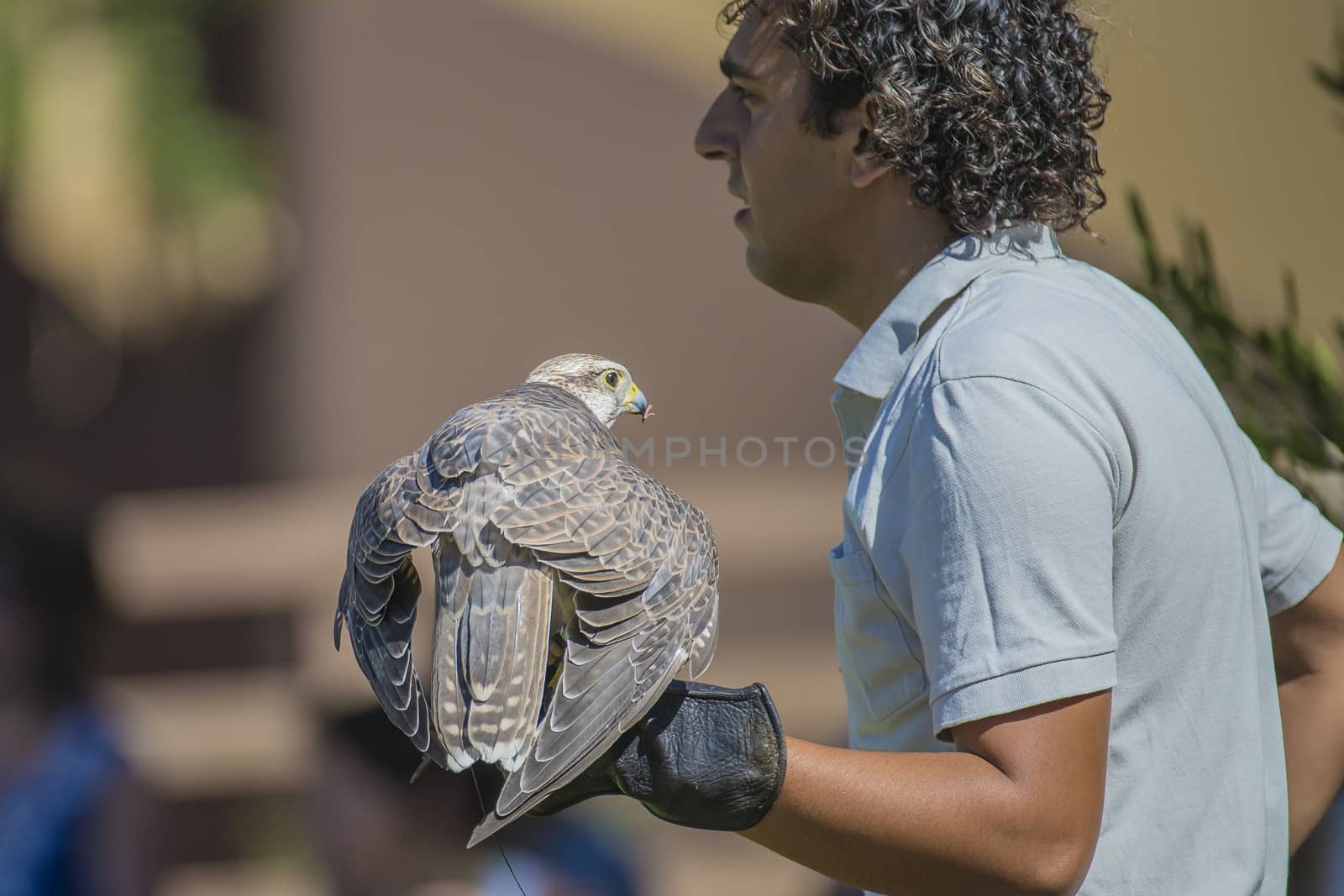 The picture is shot in Zoo Lagos, Portugal