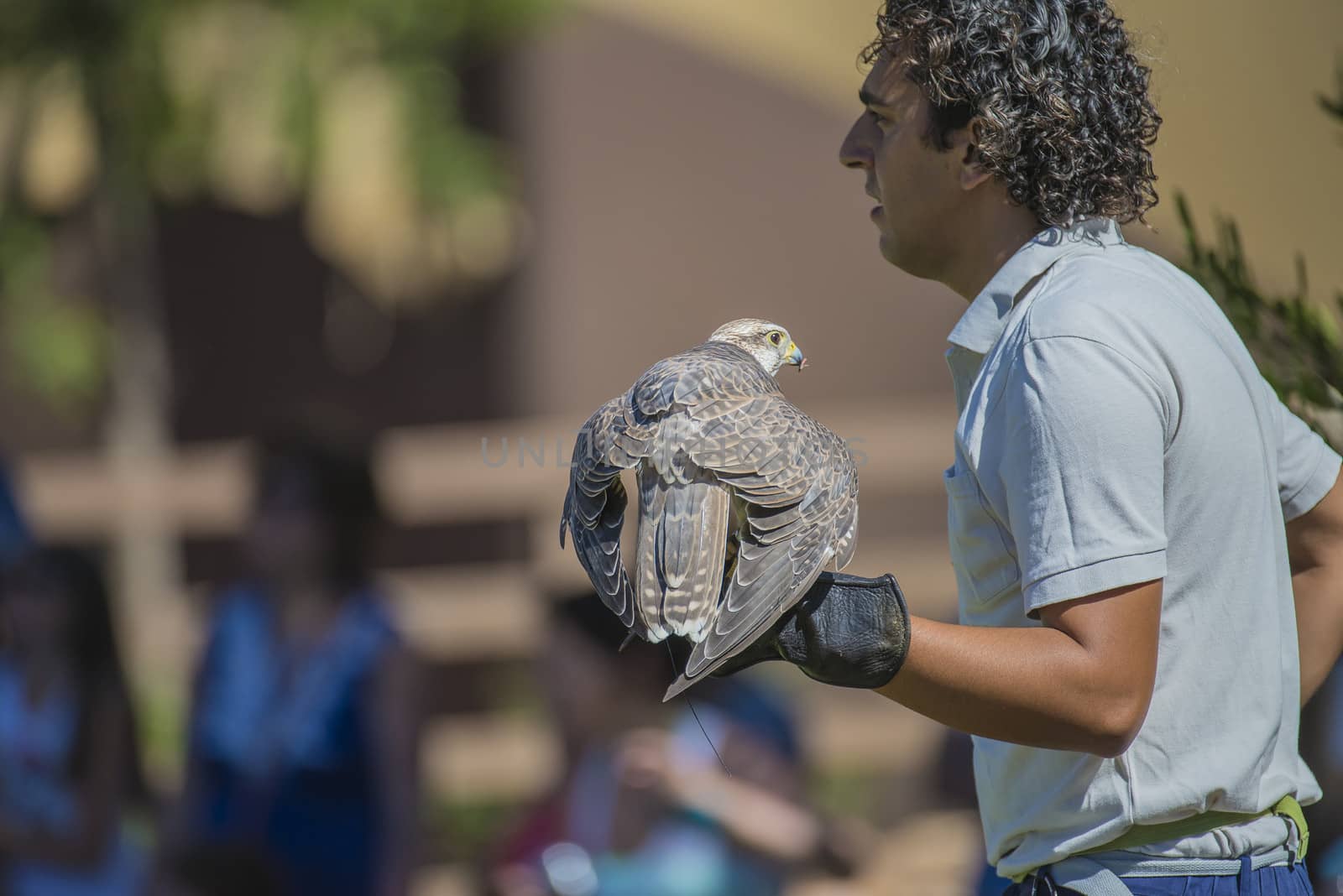 The picture is shot in Zoo Lagos, Portugal