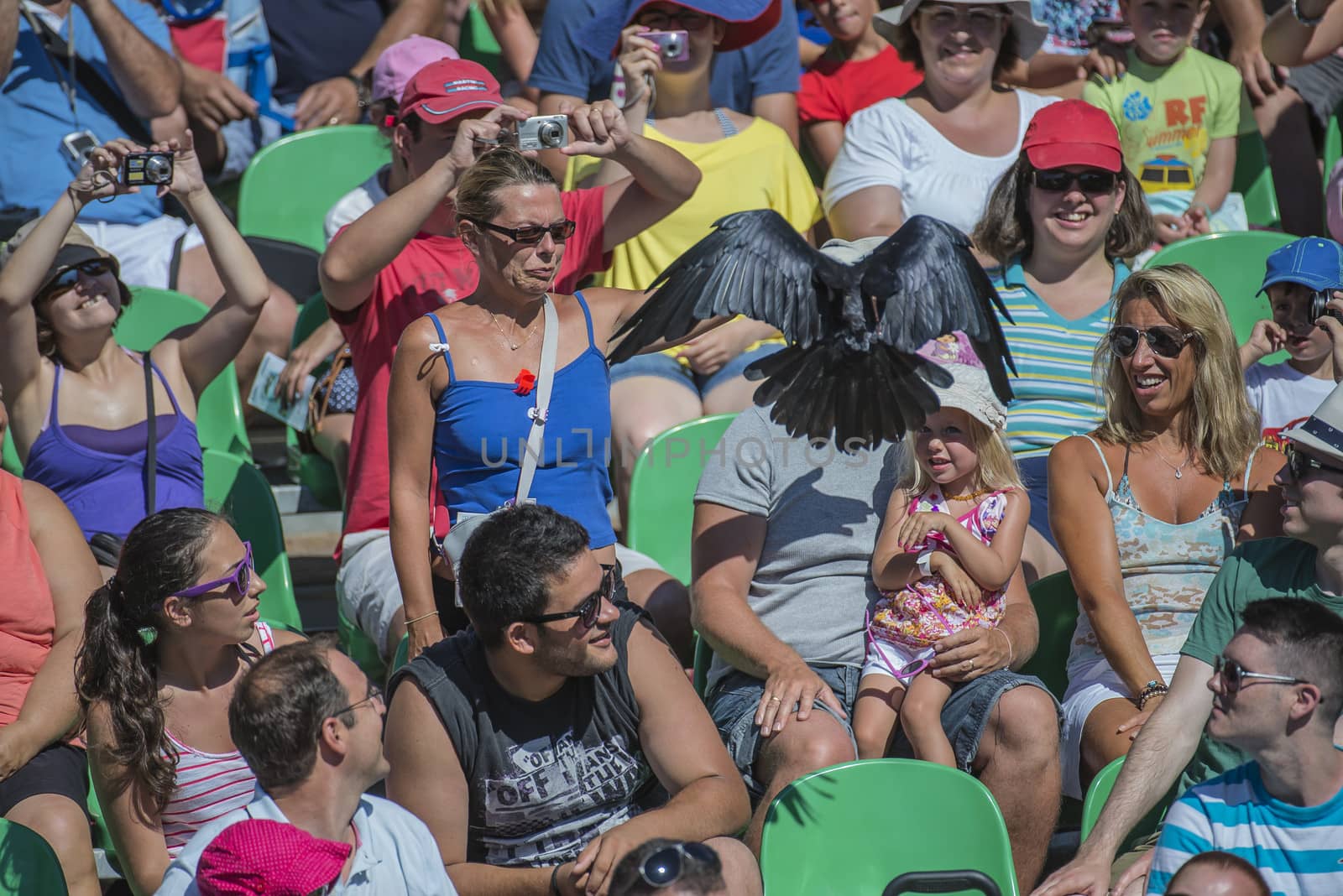 The picture is shot in Zoo Lagos, Portugal