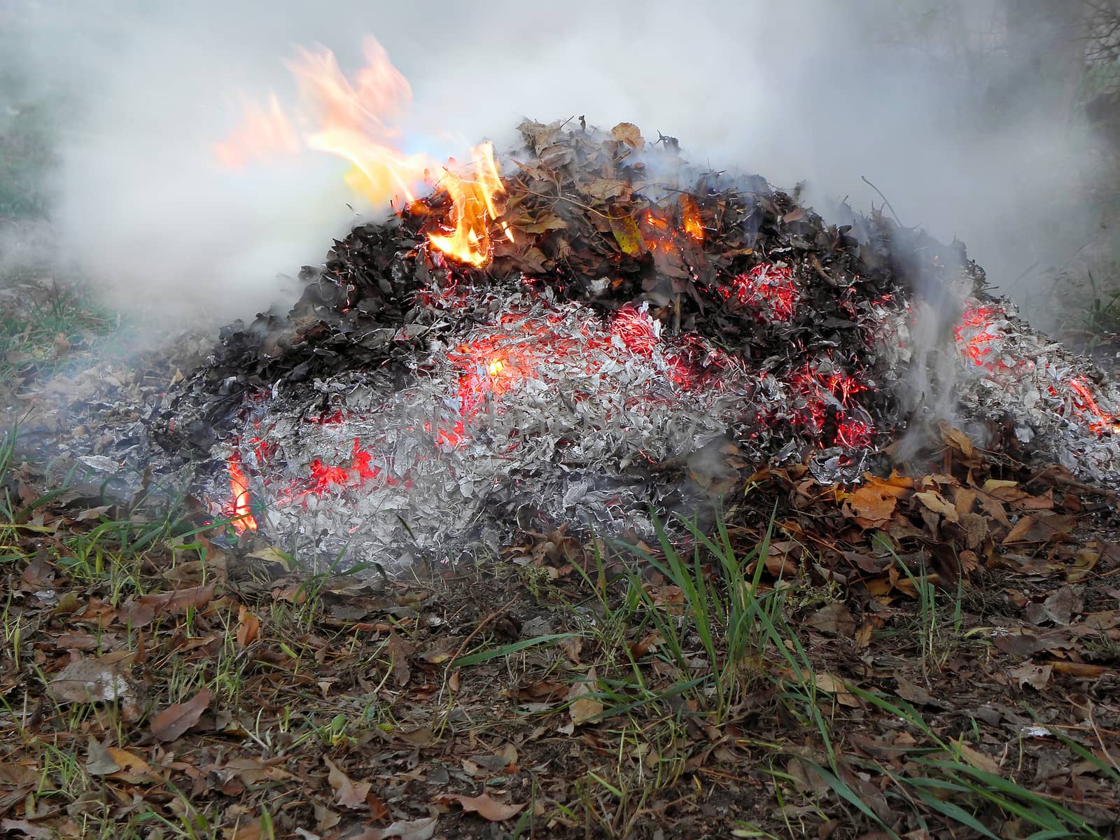 
Smoke, flame, burning in the dry leaves.