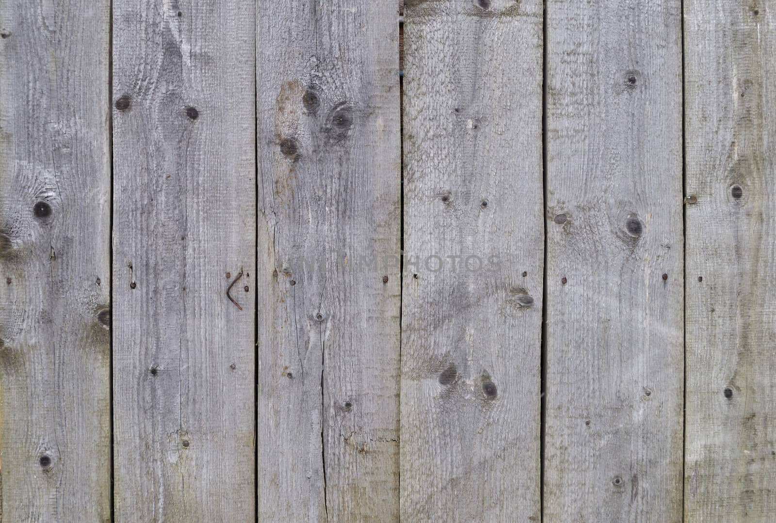 Rough gray wooden boards background by wander
