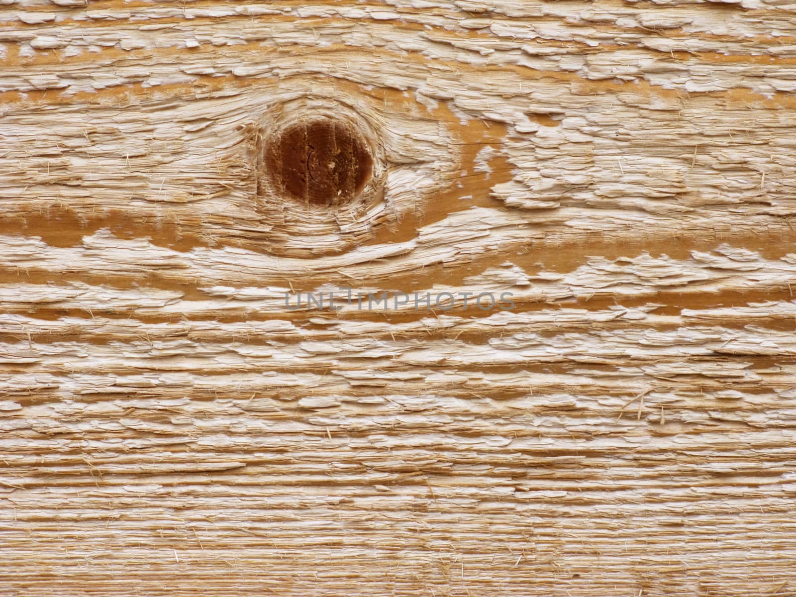 Close up of uncolored plank surface with knot